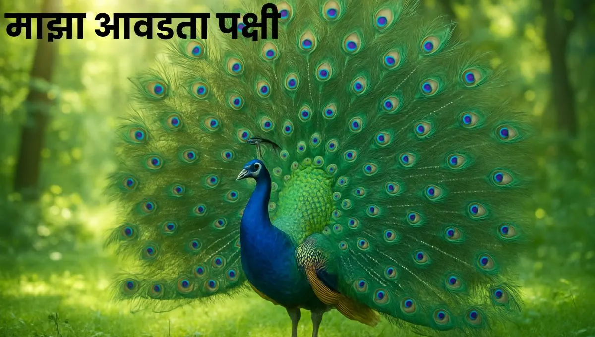 माझा आवडता पक्षी मराठी निबंध: Maza Avadta Pakshi Marathi Nibandh
